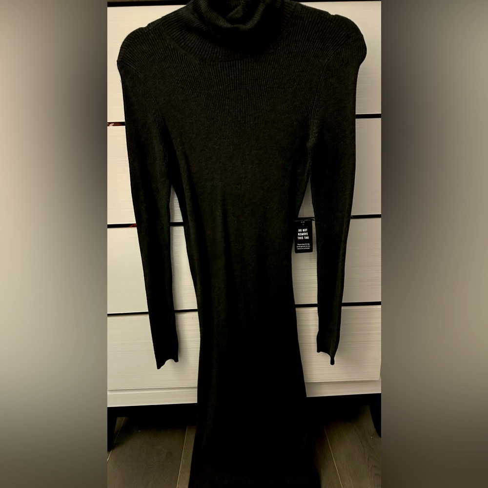 Express turtle neck sweater dress